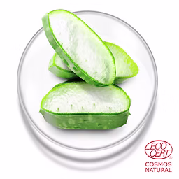 Aloe_vera_ECO_CERT